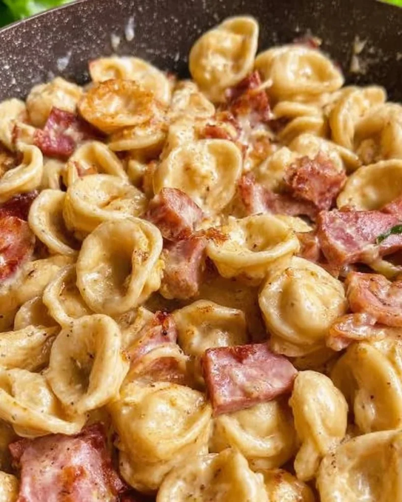 Orecchiette con Mortadella e Gorgonzola servite in un piatto gourmet
